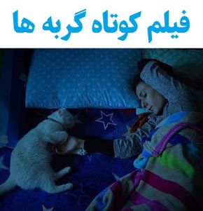 بیوگرافی بازیگران فیلم کوتاه گربه ها [داستان و نقش]