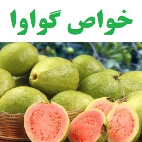 خواص گواوا