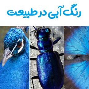 رنگ آبی در طبیعت