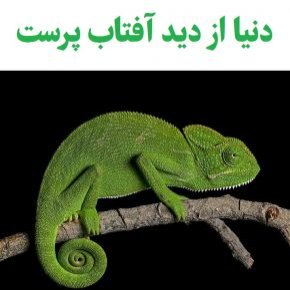 دنیا از دید آفتاب پرست