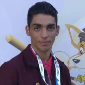 محمد فرهادی ووشو