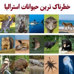 خطرناک ترین حیوانات استرالیا