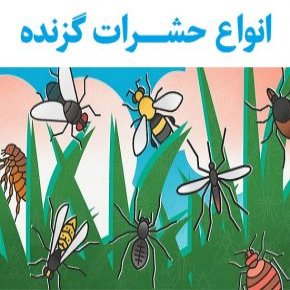انواع حشرات گزنده