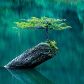 عکاسی از طبیعت