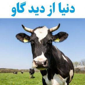 دنیا از دید گاو