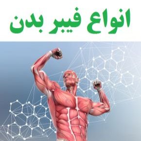فیبر بدن