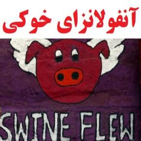 آنفولانزای خوکی