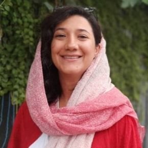 بیوگرافی نیلوفر حامدی