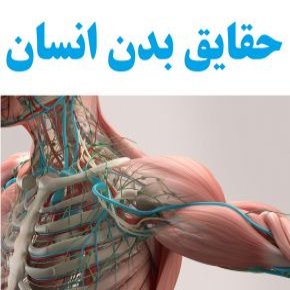 حقایق بدن انسان