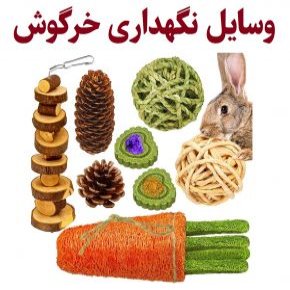 وسایل نگهداری خرگوش