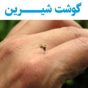 گوشت شیرین